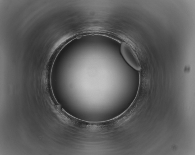 X0000096171458200801181239