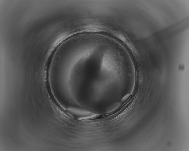 X0000096171459200801181239