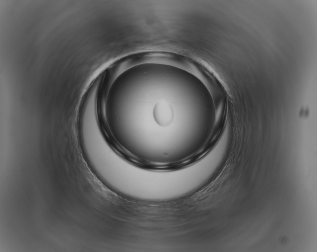 X0000096171460200801181239
