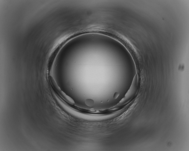 X0000096171461200801181239