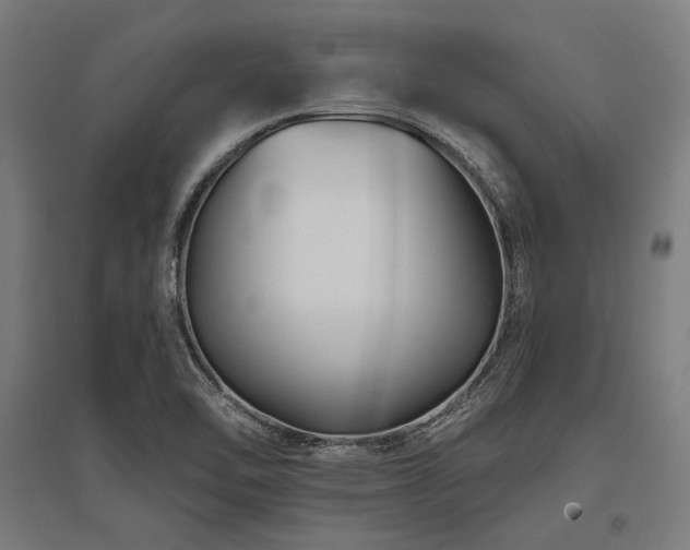 X0000096171462200801181239
