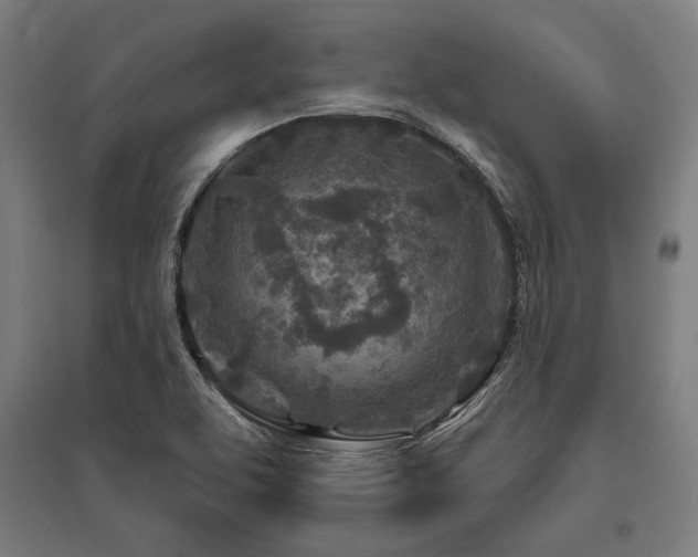 X0000096171463200801181239