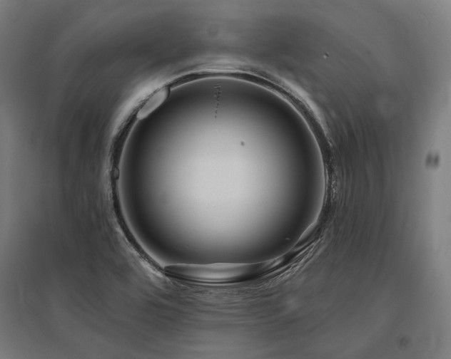 X0000096171464200801181239