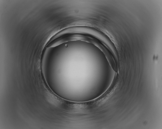 X0000096171465200801181239