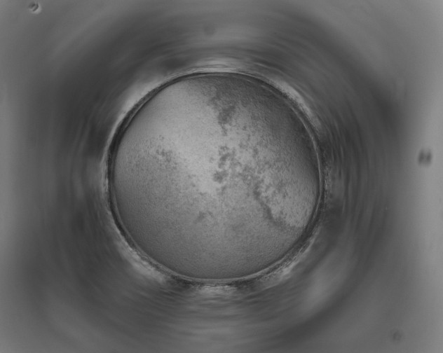 X0000096171466200801181239