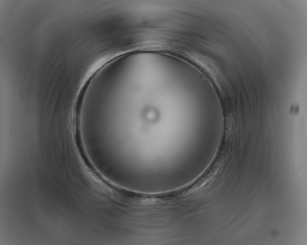 X0000096171467200801181239