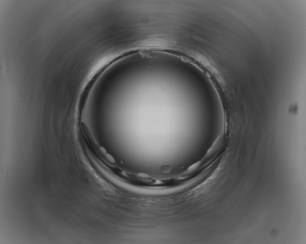 X0000096171469200801181239