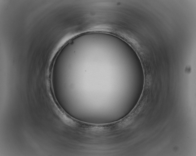 X0000096171470200801181239