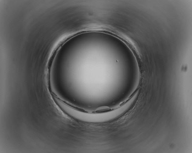 X0000096171472200801181239