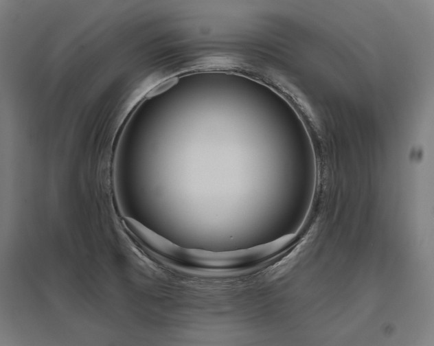 X0000096171473200801181239
