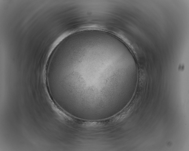 X0000096171474200801181239