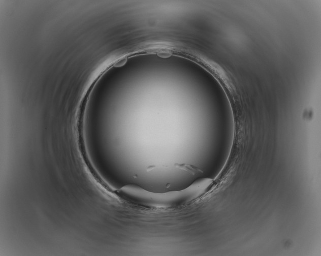 X0000096171475200801181239