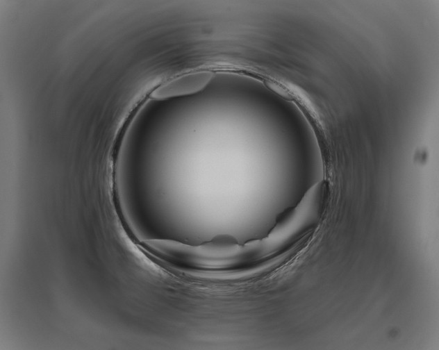 X0000096171476200801181239