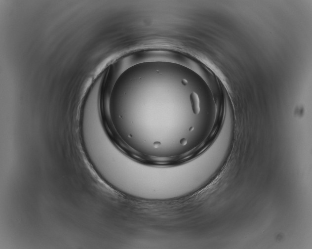 X0000096171477200801181239