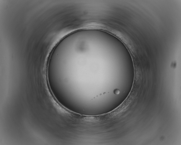 X0000096171478200801181239