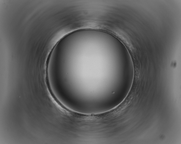 X0000096171479200801181239