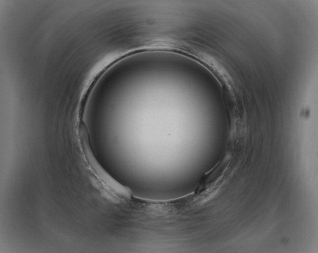 X0000096171480200801181239