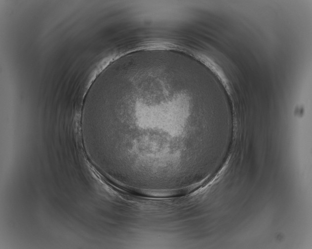 X0000096171481200801181239