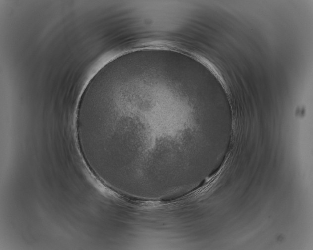 X0000096171482200801181239