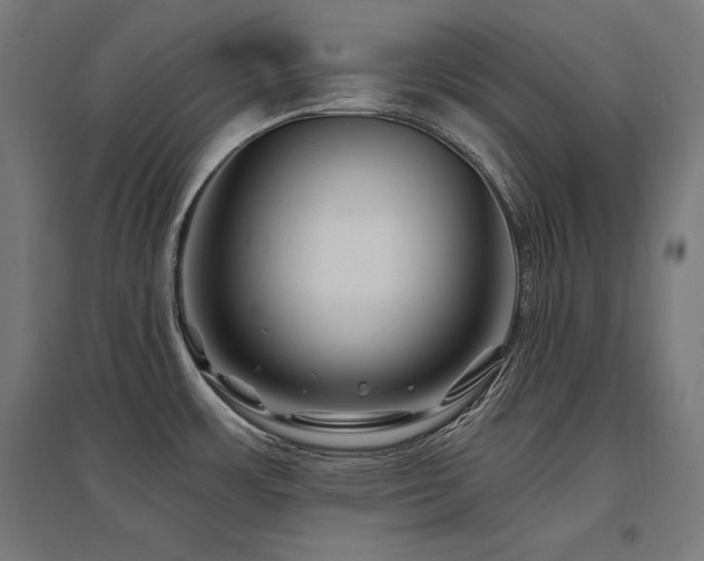 X0000096171483200801181239