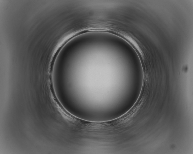 X0000096171485200801181239