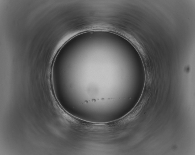 X0000096171486200801181239