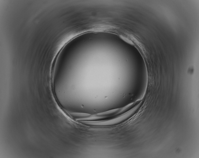X0000096171487200801181239