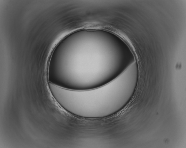 X0000096171488200801181239