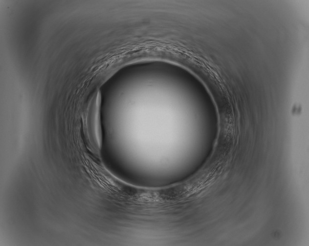 X0000096171489200801181238