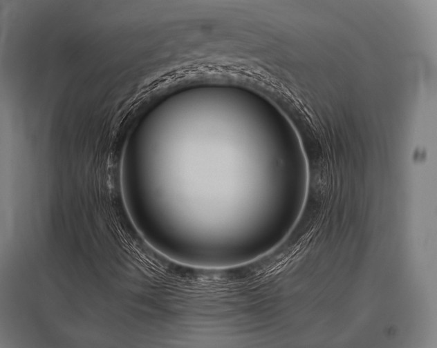 X0000096171490200801181238