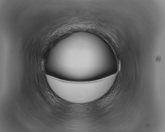 X0000096171492200801181238