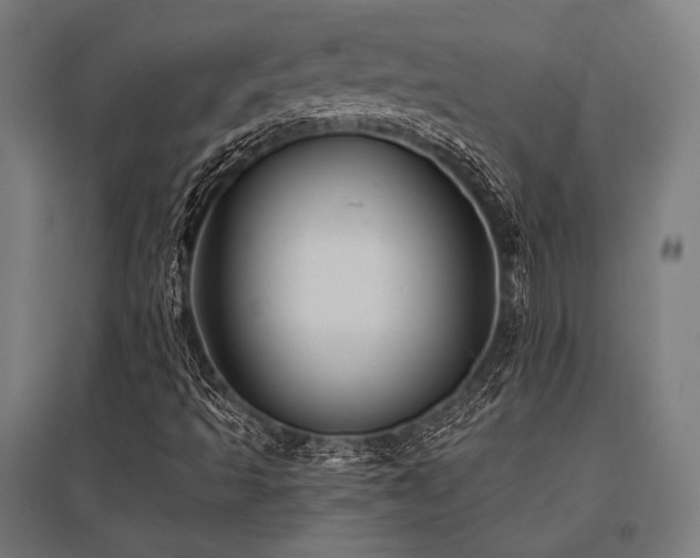 X0000096171493200801181238