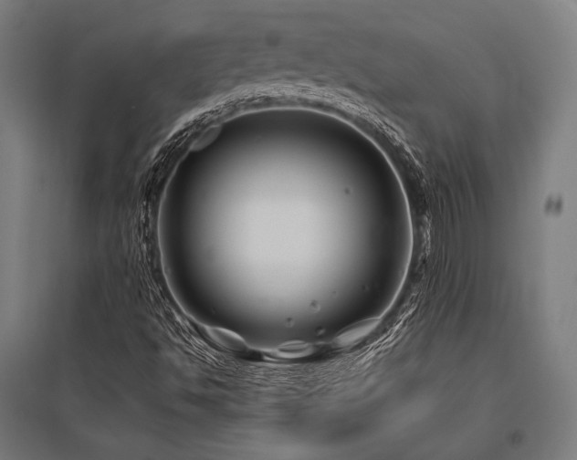 X0000096171494200801181238