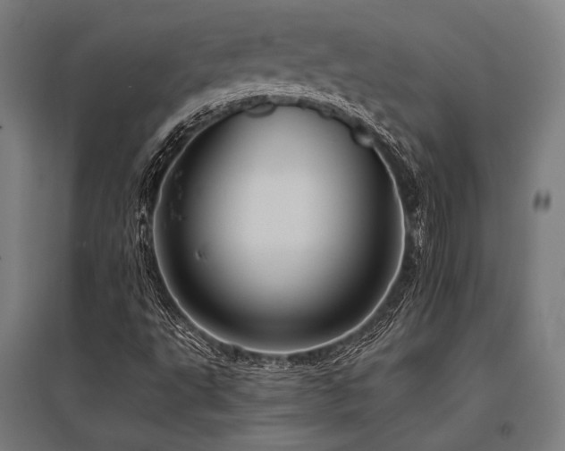 X0000096171495200801181238