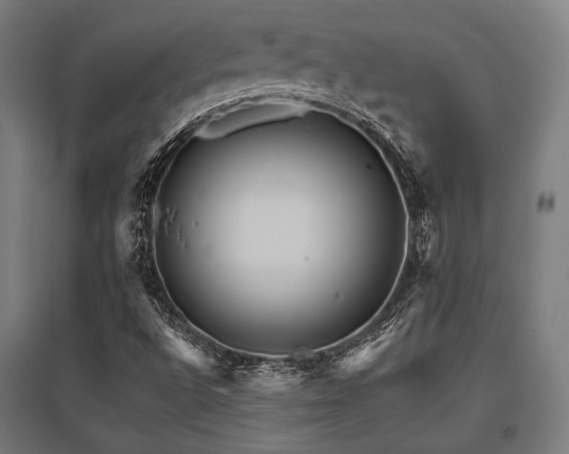 X0000096171496200801181238