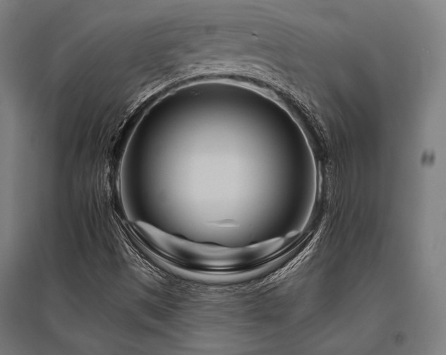 X0000096171497200801181238