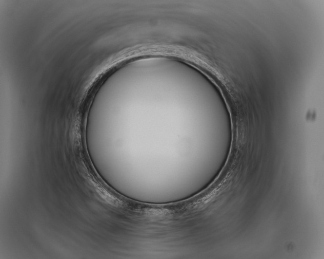 X0000096171498200801181238