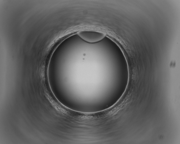 X0000096171499200801181238