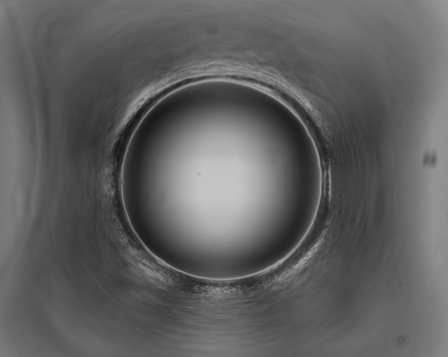 X0000096171501200801181238