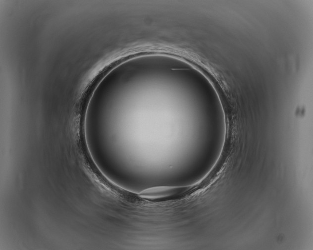 X0000096171503200801181238