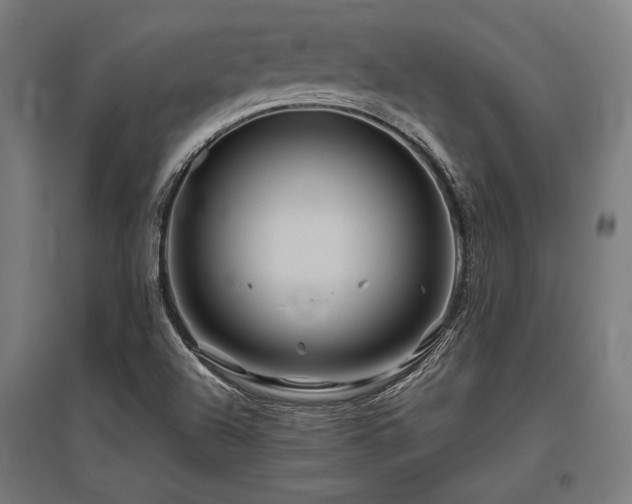 X0000096171504200801181238
