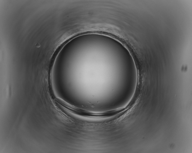 X0000096171505200801181238
