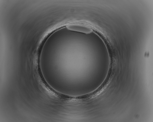 X0000096171506200801181238