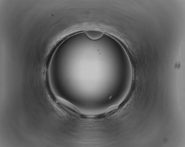 X0000096171507200801181238