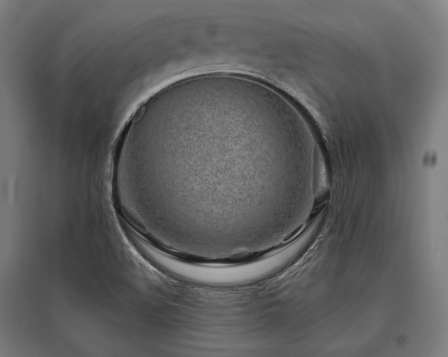 X0000096171508200801181238