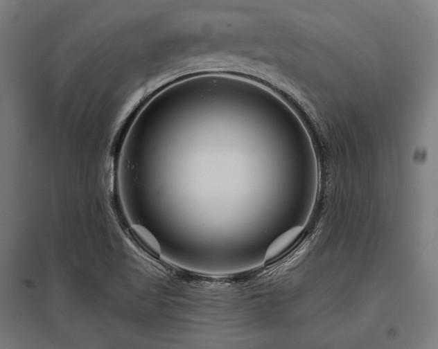 X0000096171509200801181238