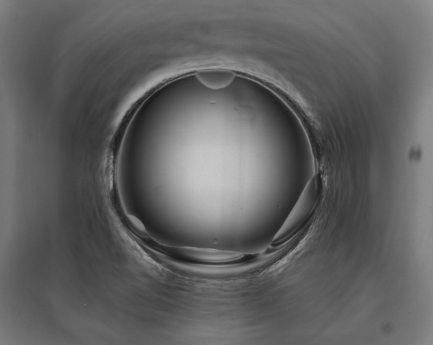 X0000096171510200801181238