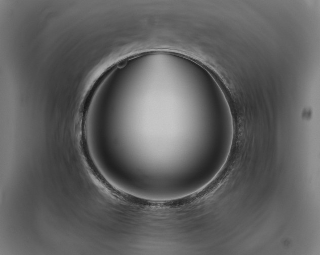 X0000096171511200801181238