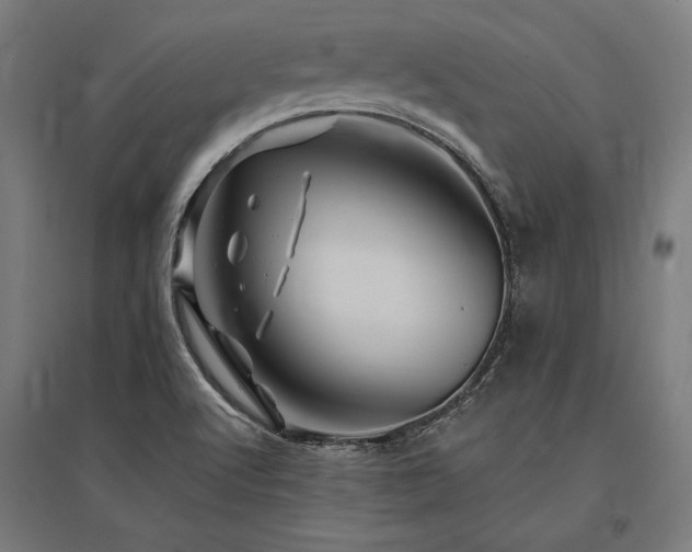 X0000096171512200801181238