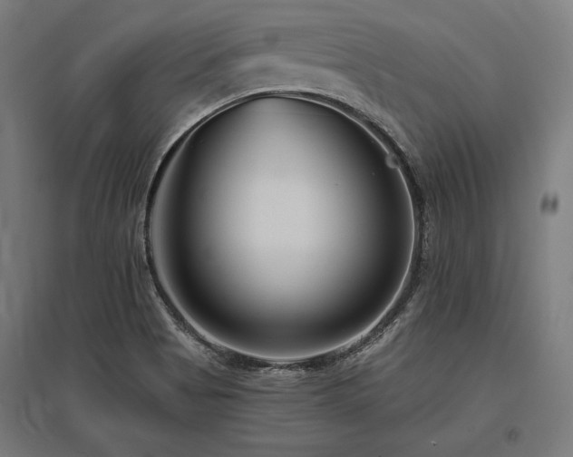 X0000096171513200801181238